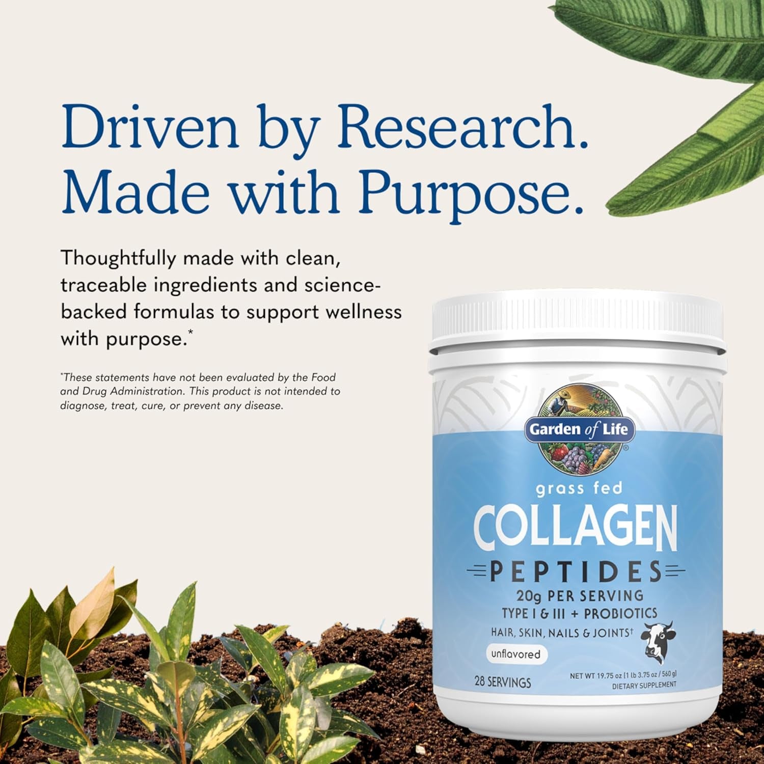 Grass Fed Collagen Peptides Powder Unflavored Collagen Powder for Hair Skin Nails Joints, Hydrolyzed Collagen Protein Supplements, Collagen for Women & Men, 28 Servings