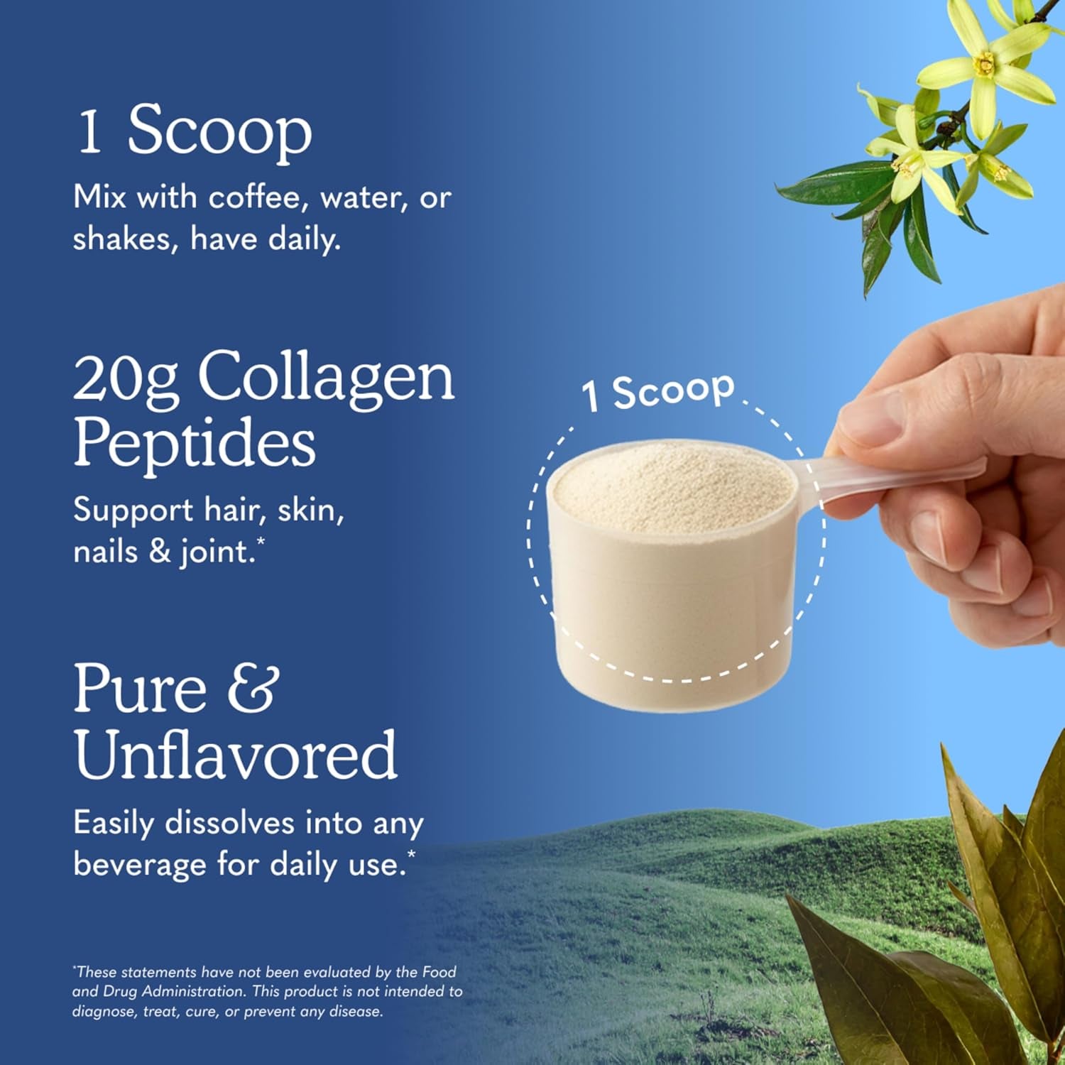 Grass Fed Collagen Peptides Powder Unflavored Collagen Powder for Hair Skin Nails Joints, Hydrolyzed Collagen Protein Supplements, Collagen for Women & Men, 28 Servings