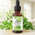 Brahmi (Bacopa Monnieri) Oil, Cold-Pressed Ayurvedic Hair & Scalp Oil, 1 Fl Oz